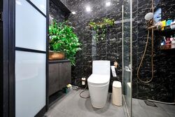 Blk 250C Compassvale Haven (Sengkang), HDB Executive #581191671